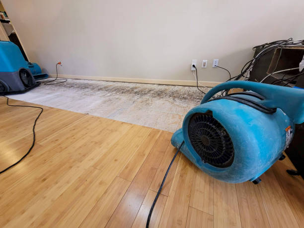 Professional Flood Damage Cleanup technician working in Sun City West, AZ